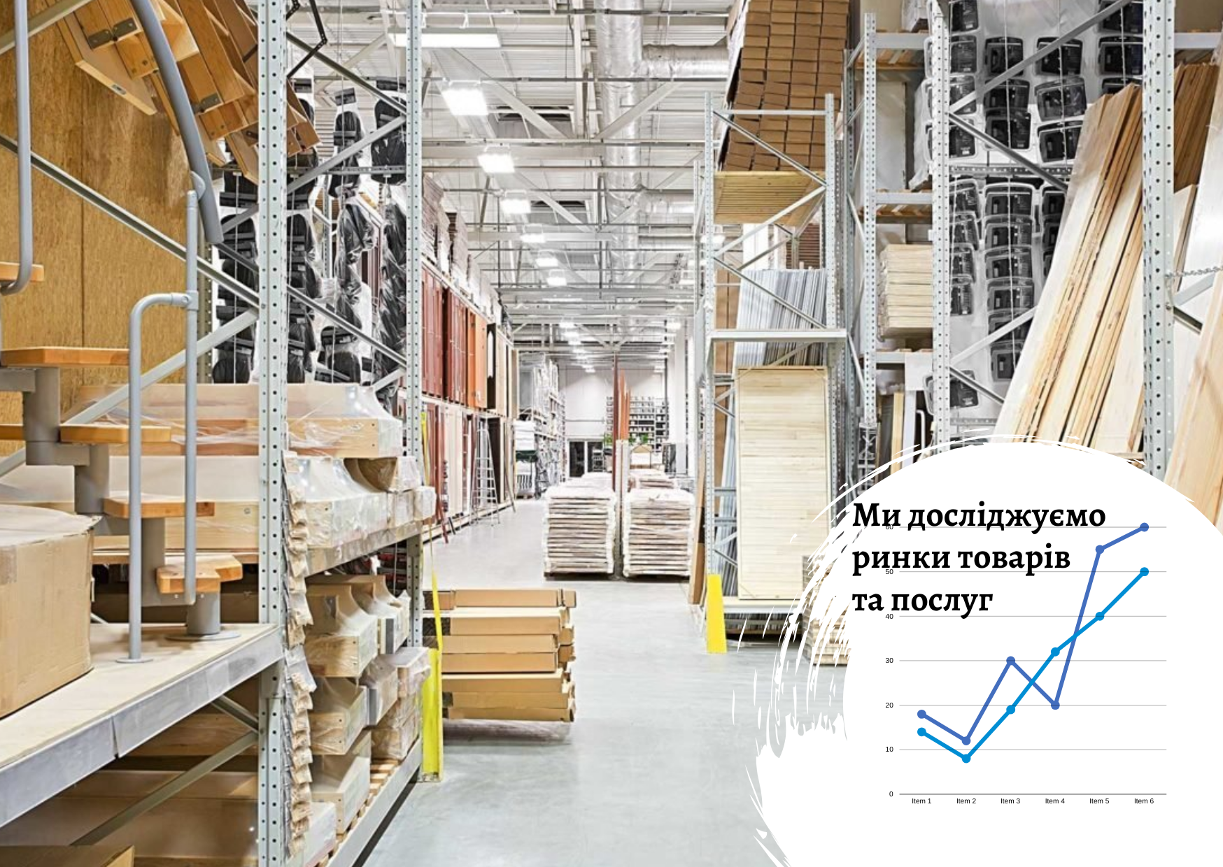 Ukrainian retail market in DIY stores: factors and trends